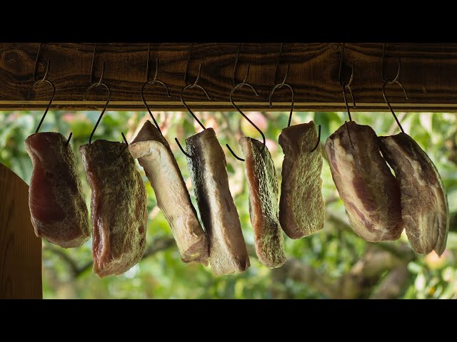 Salt pork QnA - Best Method for Preserving Meat with Salt