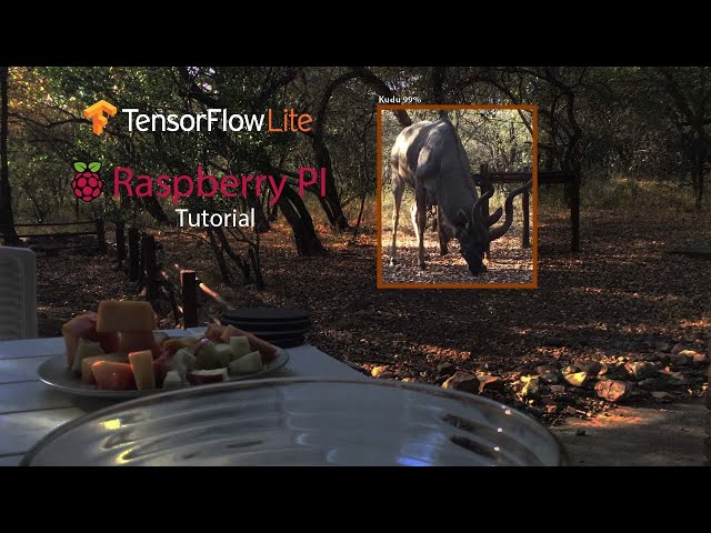How to run Object Detection with Tensorflow Lite and a Raspberry PI 4 to Build a Wildlife camera