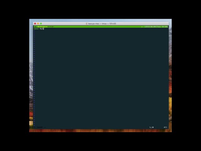 Tutorial - Create jsx environment in Vim