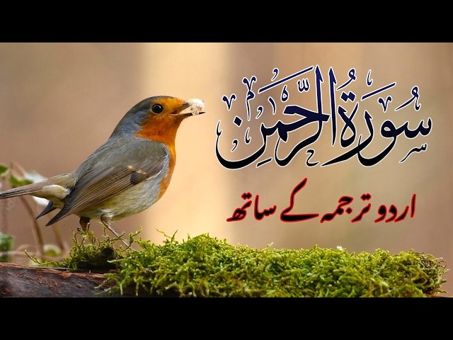 Surah Rahman with Urdu Translation | Beautiful Quran Tilawat by Qari Abdul Basit | سورۃ الرح | 150