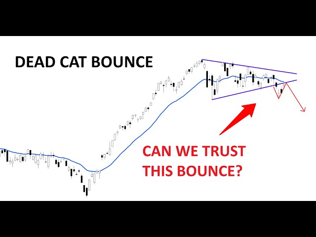 Technical Analysis of Stocks: SPY / QQQ / NVDA / TSLA / AMD / PLTR / ORCL / HOOD