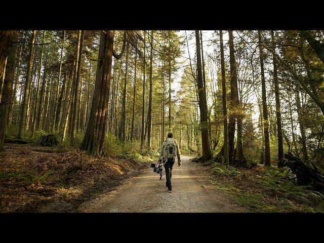 Shoot Like a Cinematographer, Not a Videographer
