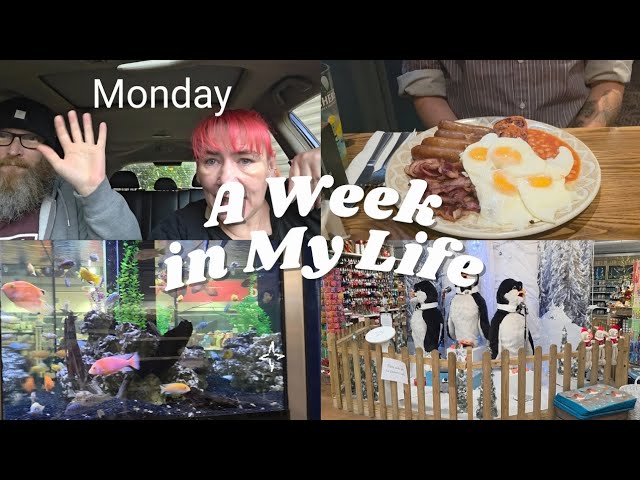 Holiday Vlog #vlogvideo #chattyvideo 