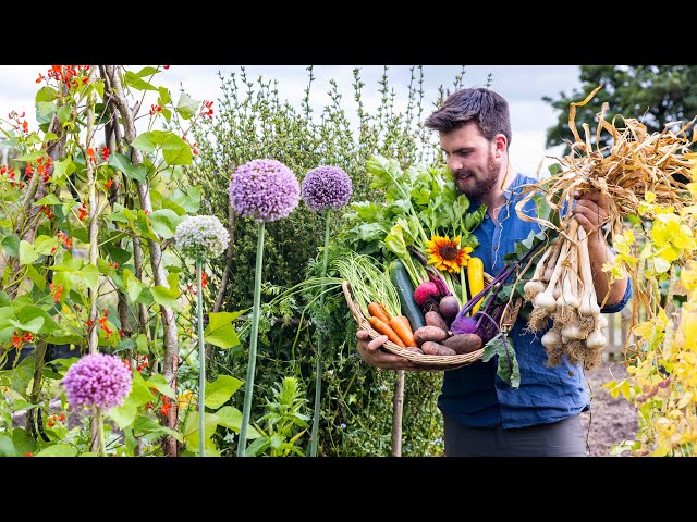 Incredible Permaculture Kitchen Garden Tour | August No Dig Homegrown Abundance