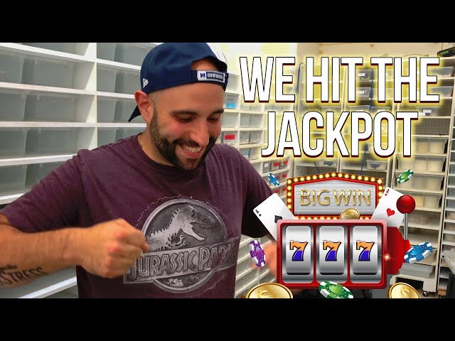 Ball Python Egg Cutting - JACKPOT Edition! 🎰