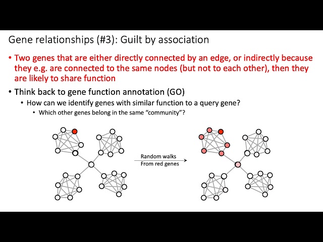 MCB 182 Lecture 11.8 - Modularity of gene networks, guilt by association principles