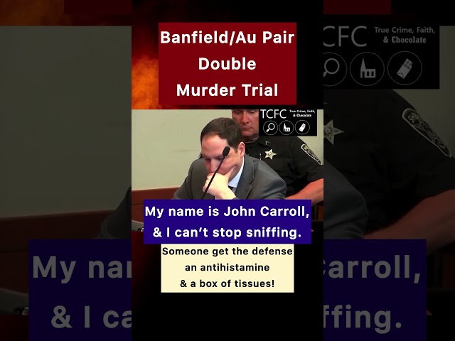 Au Pair Trial: Defense Atty Drives Us Crazy! #banfield #aupair #truecrimecommunity