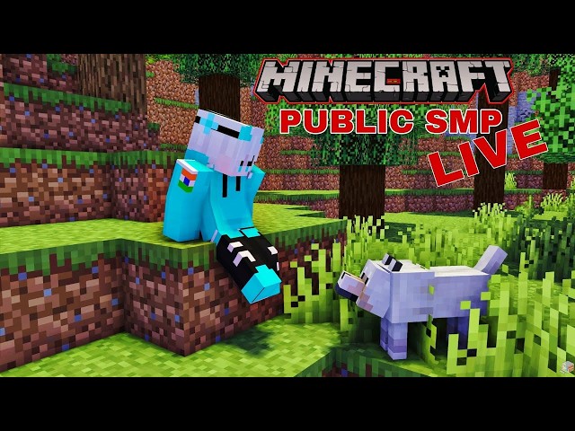 Let's play on this New Public Minecraft Server