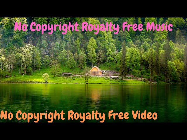 No Copyright Royalty Free Music | fun background music | No Copyright Royalty Free Video