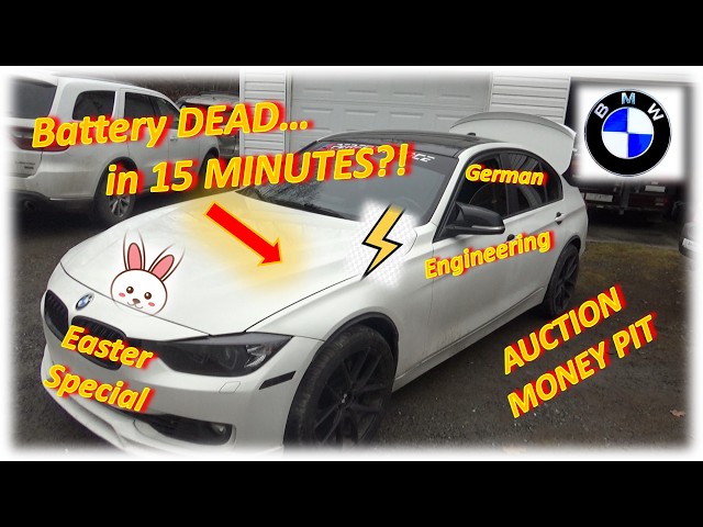 BMW DRAINS Battery (& Customer's Wallet) in 15 MINUTES?! ('15 328i)