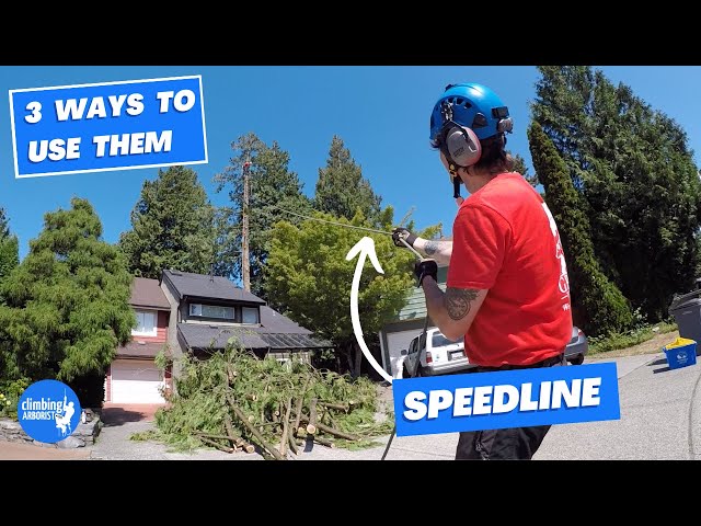 SPEEDLINE 3 different techniques to make tree work easier