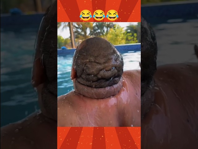 Epic Funny Video 🤣 #funny #funnyvideo #viralshort #fun #comedy  #funnymemes #fail #humor