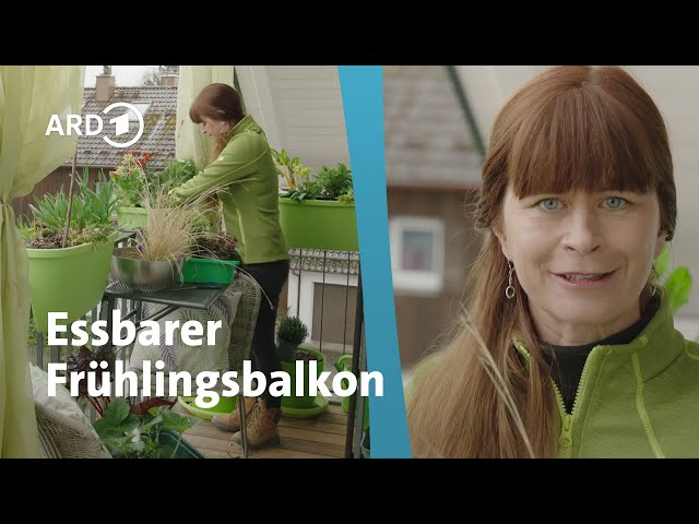Colorful plants & edible flowers for balcony boxes │Querbeet