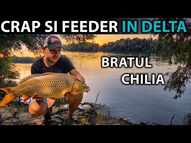 THREE DAYS IN THE DANUBE DELTA - CARP AND FEEDER FISHING ON THE CHILIA BRANCH!