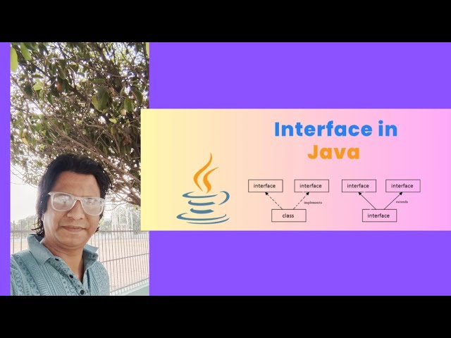 WHAT IS JAVA PROGRAMMING  INTERFACE