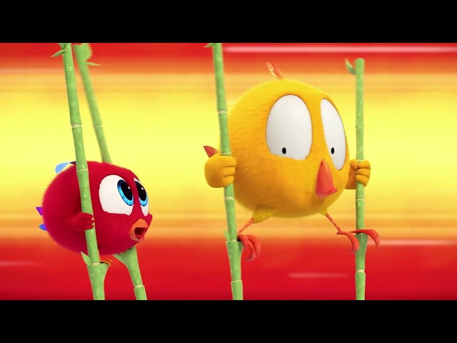 Who will win the race? | Where is Chicky? | Cartoons in Spanish