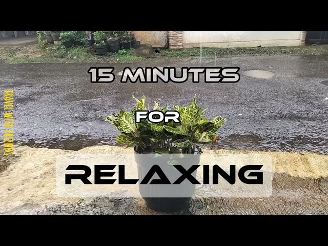 15 minutes of relaxing with the sound of the rain