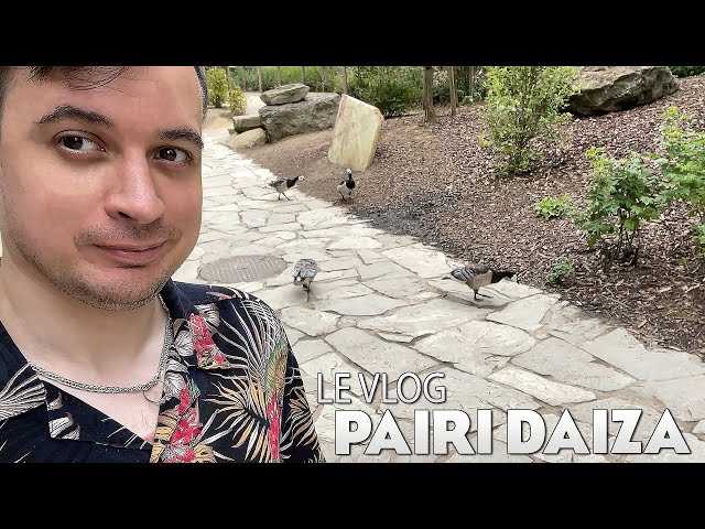 Dédé VLOG - PAIRI DAIZA in Belgium, The best park in Europe