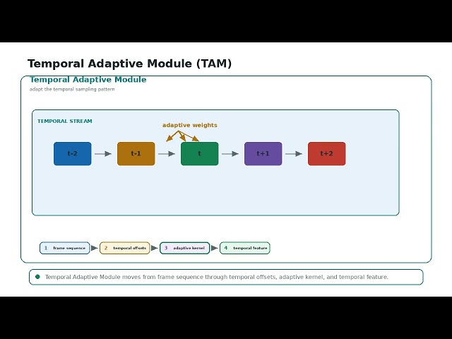 Temporal Adaptive Module (TAM) Algorithm