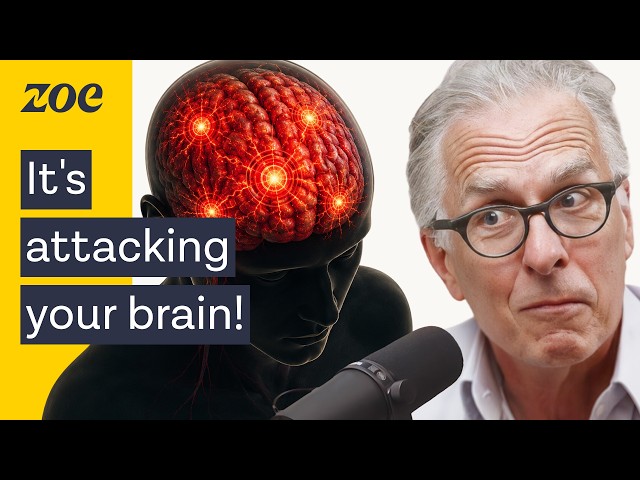 Doctors are ignoring the root cause! What inflammation is really doing to your mind and body