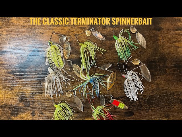 The Classic Terminator Spinnerbait