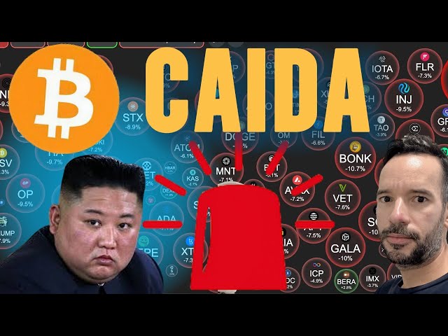 Bitcoin! Caida de todo el mercado
