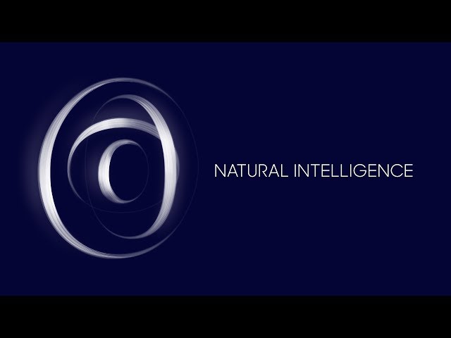 Natural Intelligence