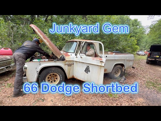 Will it run and drive? Rare 66 Dodge shortbed junkyard jewel must be saved! This is a nice ride!
