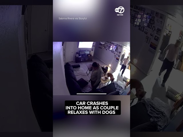 Shocking Moment Car Crashes Into Home Where Couple Were Relaxing With Their 4 Dogs