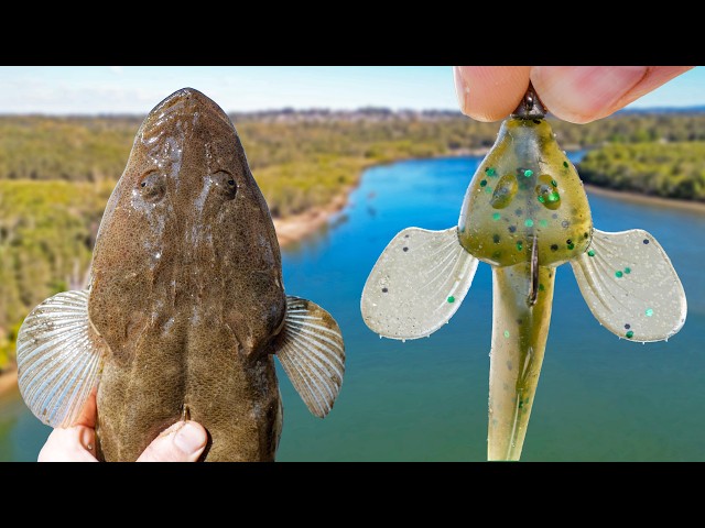 CANNIBAL FISH? - Can I Catch a Flathead on a Flathead LURE? (Brisbane, Australia)
