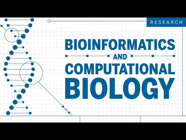 Bioinformatics and Computational Biology Research