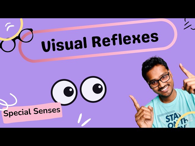 Visual Reflexes