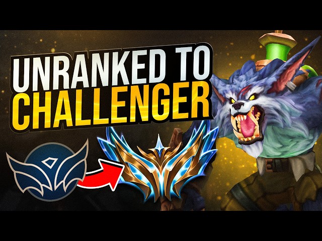 Warwick UNRANKED to CHALLENGER in 24 Hours | Educational Guide