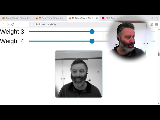 Biomedical Web Tools: PCA Eigenfaces, Webcam PPG & EEG to Music