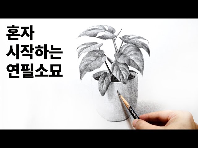How to draw a leaf