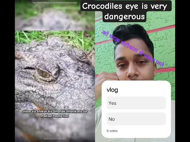 crocodile eye is very dangerous #facts #knowledge #trending