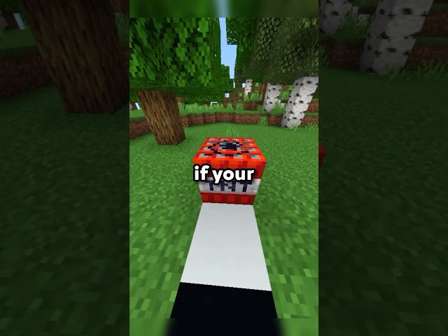 TNT Blows You Up? Easy Fix??