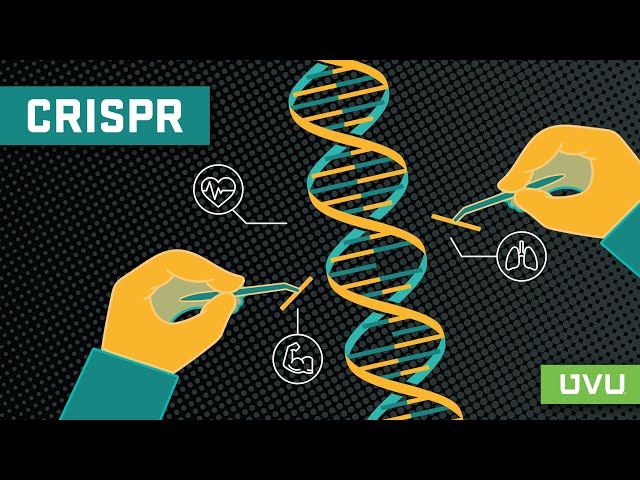 CRISPR: Explained in 3 Minutes
