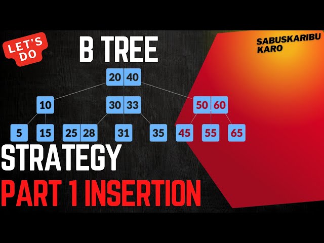 🔥🔥Mastering B-Tree Insertion | Step-by-Step Guide || #dsa #pavanshanmukhkakarla #youtube