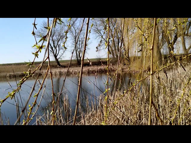 The beginning of spring . Native American flute in Eb