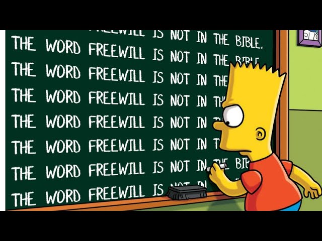 What Paul Says About The Stupid 'Christian' Doctrine of FREE Will -- Notes on Romans 7,8, 9 and 11.