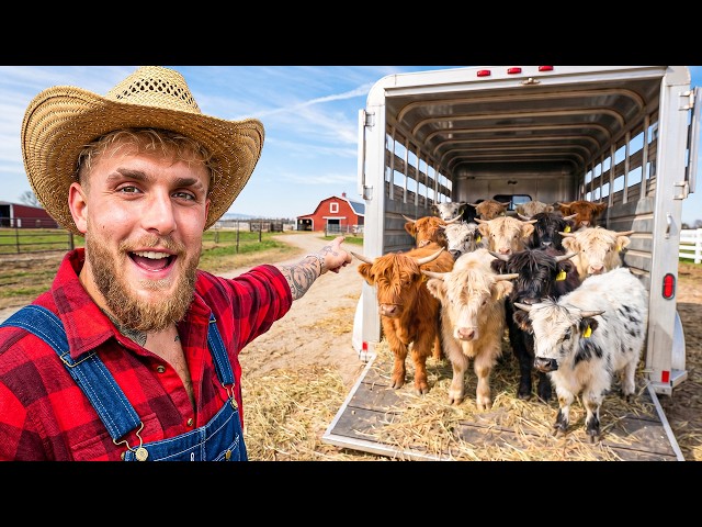 Our First Animals At The Ranch (Mini Cows)