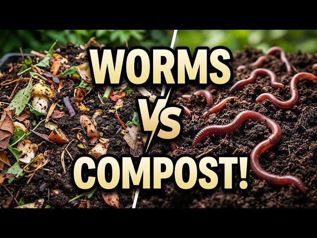 Earthworms vs. Compost: Which Is Better for Your Garden?