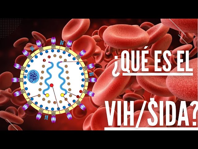 What is HIV/AIDS?