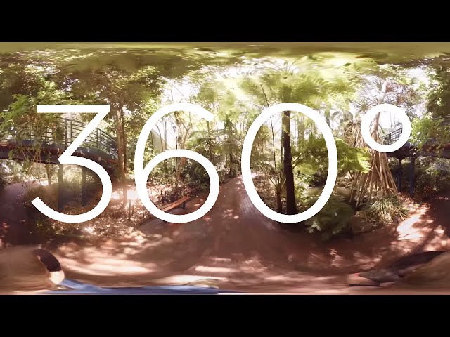 360° VIDEO - Adelaide Botanic Gardens - Bicentennial Conservatory v2