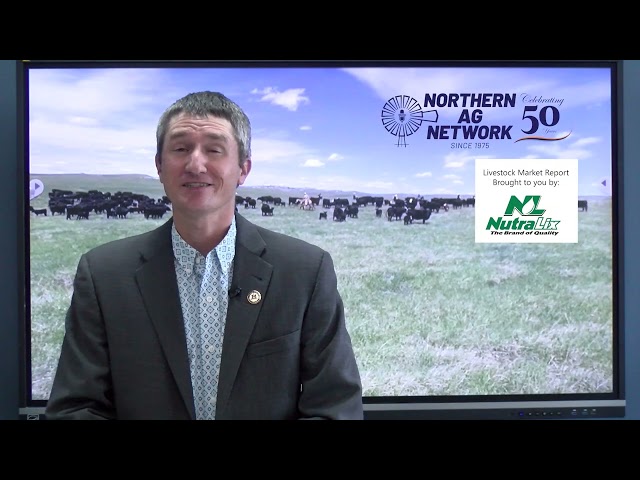 Historic Cattle Prices Meet Severe Drought Concerns