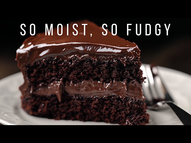 Moist & Fudgy Chocolate Cake with Everyday Ingredients