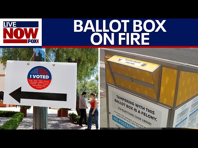 California primary election: LA officials investigate interference incidents