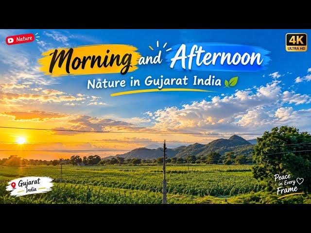 (MORNING AND AFTERNOON)NATURE IN GUJARAT INDIA🏔️🛘🌄(real big big stone 😉😁)