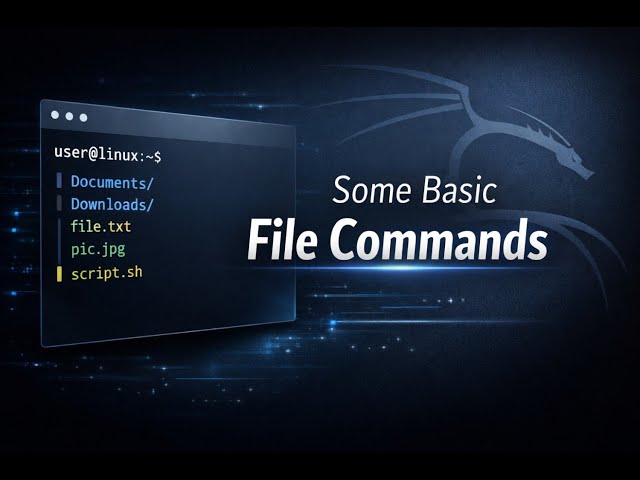 Linux Basic File Commands (Part 2) 🚀